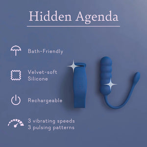 Hidden Agenda Vibrator & Remote