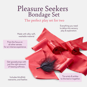 Pleasure Seekers Play Set PLAY SET FOR TWO